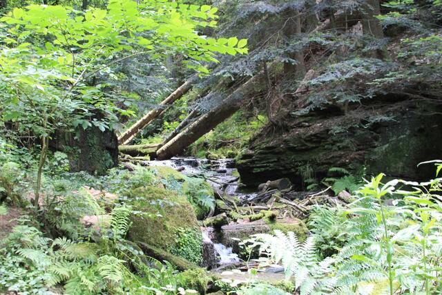 und weiter | Foto: Ralf Röser