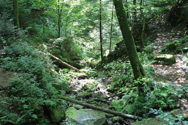 wow | Foto: Ralf Röser