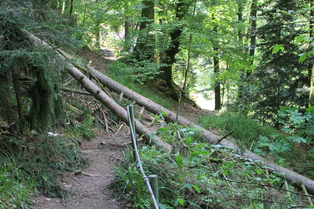 da unten durch und drüber | Foto: Ralf Röser