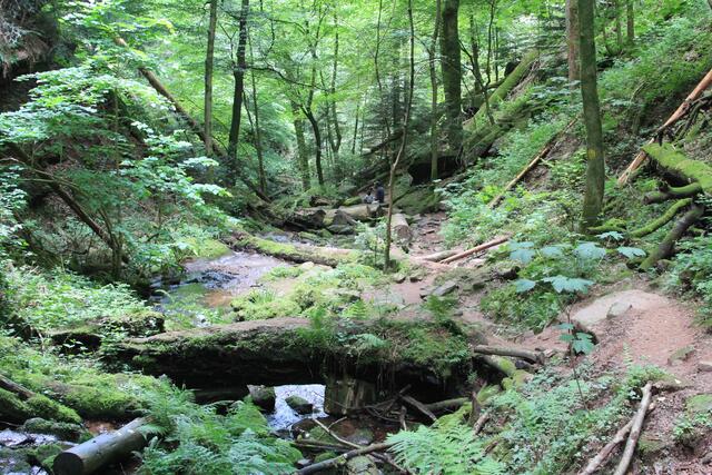 rechts ist der Weg | Foto: Ralf Röser