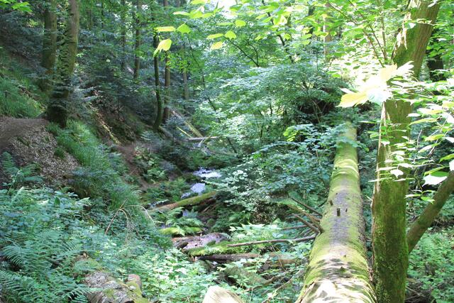 links ist der Weg | Foto: Ralf Röser