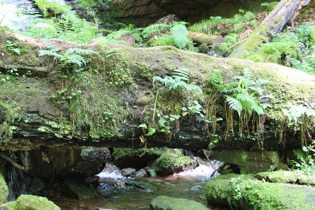 gleich wieder unten | Foto: Ralf Röser