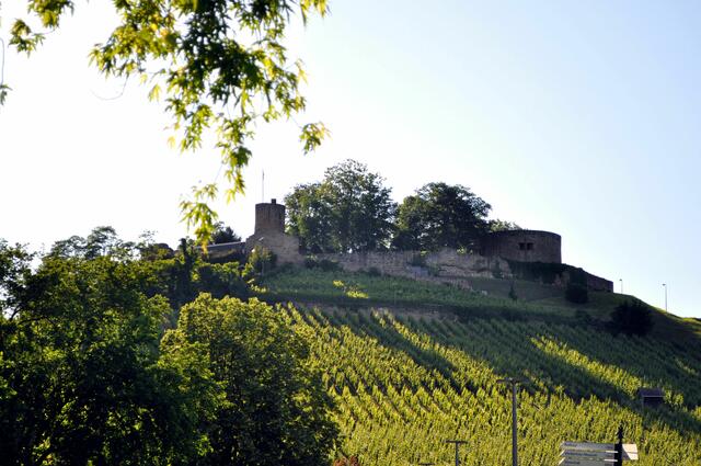 Ruine der Burg Weibertreu | Foto: Daniela Somers