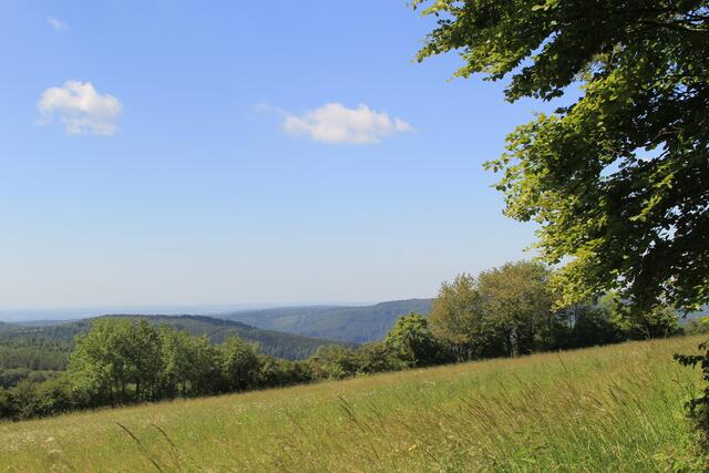 Odenwald | Foto: Ralf Röser