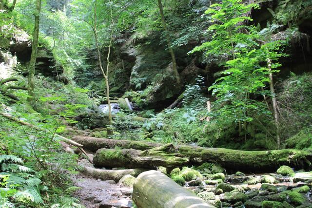 finde den Weg, hihi | Foto: Ralf Röser