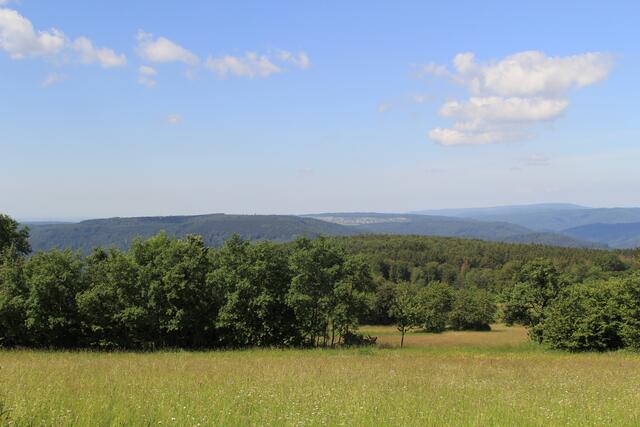 Odenwald | Foto: Ralf Röser