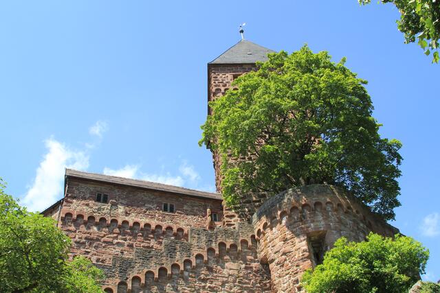 Burg Zwingenberg | Foto: Ralf Röser