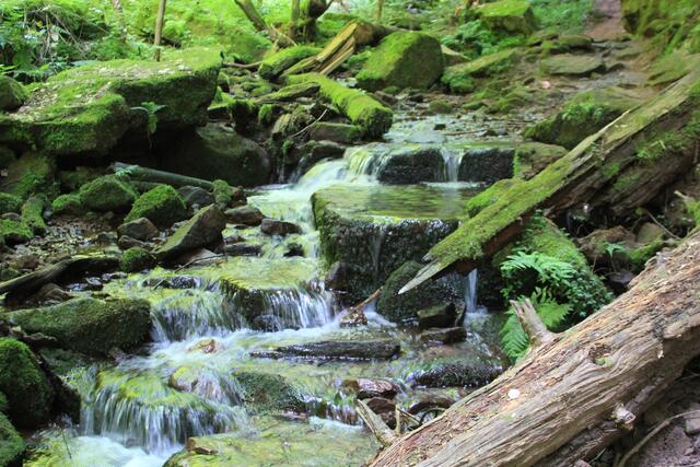 toll | Foto: Ralf Röser