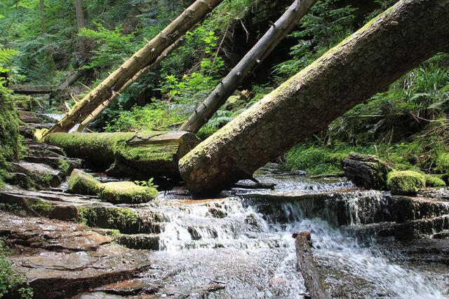 links ist der Weg | Foto: Ralf Röser