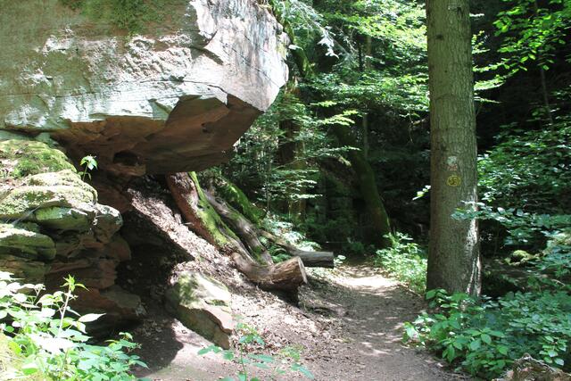 und weiter | Foto: Ralf Röser