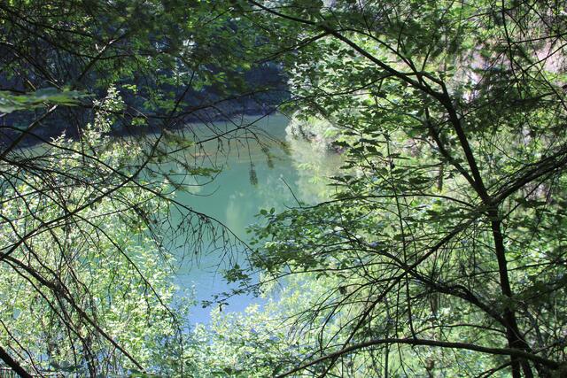 Blick auf den See | Foto: Ralf Röser