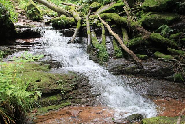 so schön | Foto: Ralf Röser