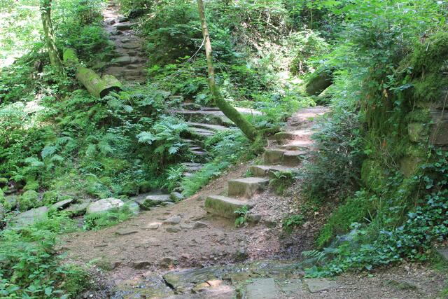 und weiter | Foto: Ralf Röser