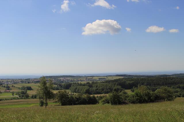 Odenwald | Foto: Ralf Röser