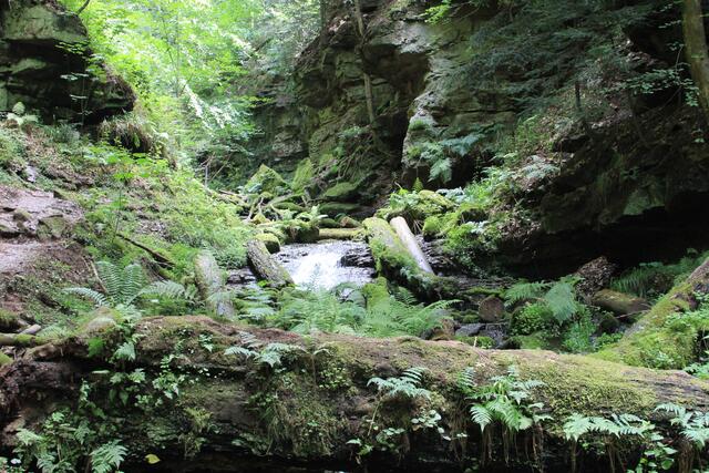 echt der Hammer | Foto: Ralf Röser