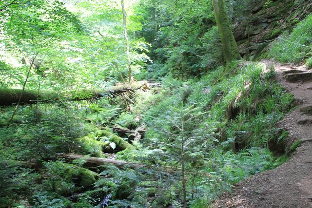 die Halteseile sind sehr zu gebrauchen | Foto: Ralf Röser