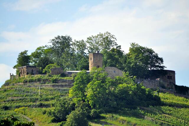 Natürlich sieht man von hier aus auch schön die Ruine der Weibertreu | Foto: Daniela Somers