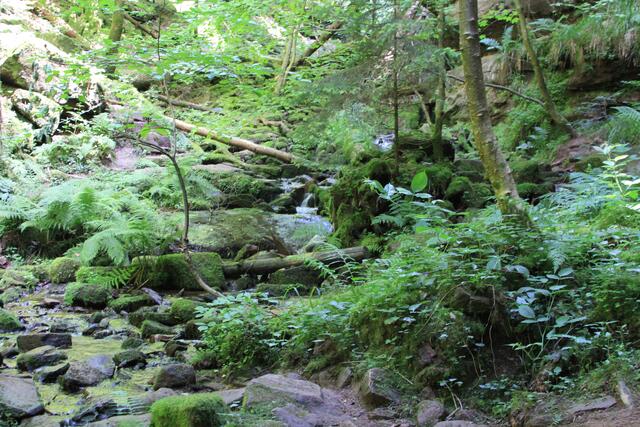 da rüber | Foto: Ralf Röser