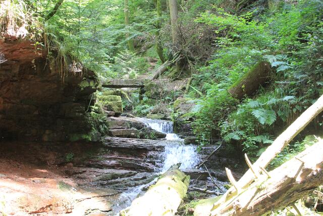 über diese Steinbrücke rüber | Foto: Ralf Röser