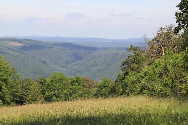 Odenwald | Foto: Ralf Röser