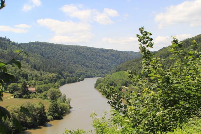 Neckar | Foto: Ralf Röser