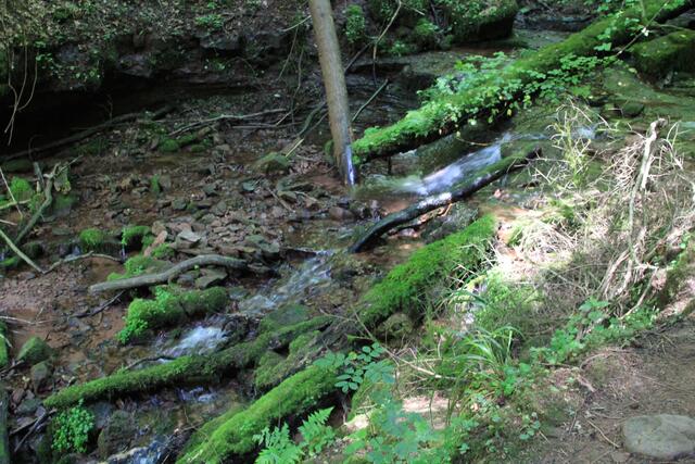 wow | Foto: Ralf Röser