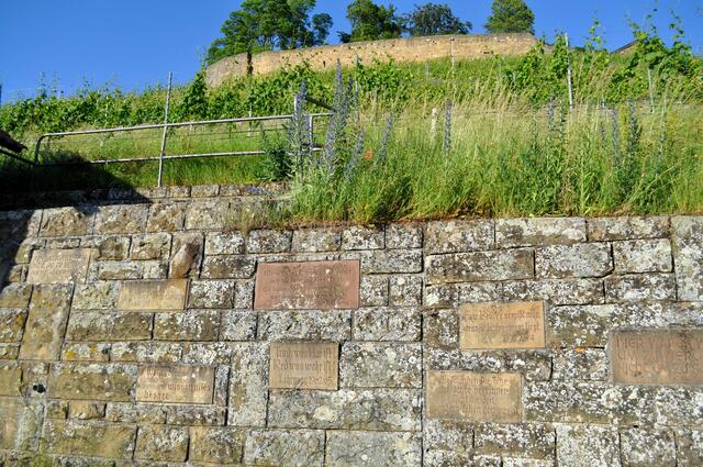 Die Mauer mit den Sprüchen der Weinbauschüler | Foto: Daniela Somers