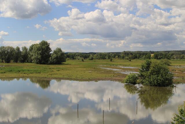 Altmühlsee- Vogelinsel🦢🦆🌞😍 | Foto: Ralf Röser