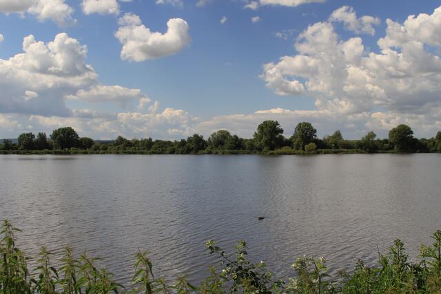 Altmühlsee- Vogelinsel🦢🦆🌞😍 | Foto: Ralf Röser