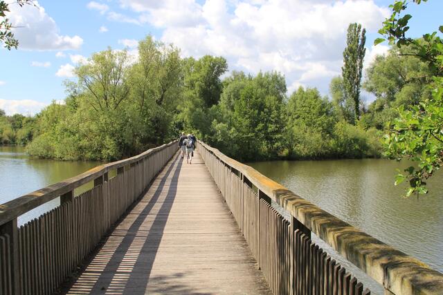 Altmühlsee- Vogelinsel🦢🦆🌞😍 | Foto: Ralf Röser