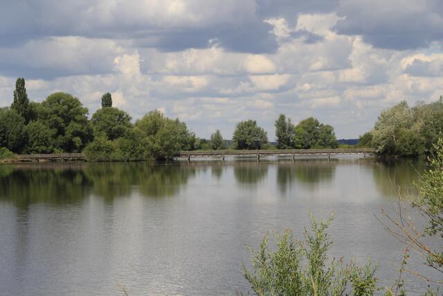 Altmühlsee- Vogelinsel🦢🦆🌞😍 | Foto: Ralf Röser