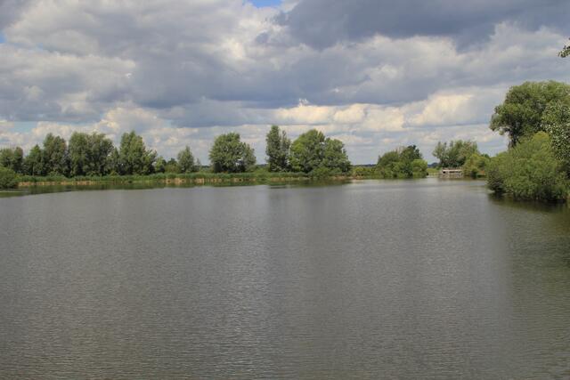 Altmühlsee- Vogelinsel🦢🦆🌞😍 | Foto: Ralf Röser