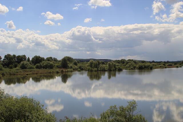 Altmühlsee- Vogelinsel🦢🦆🌞😍 | Foto: Ralf Röser