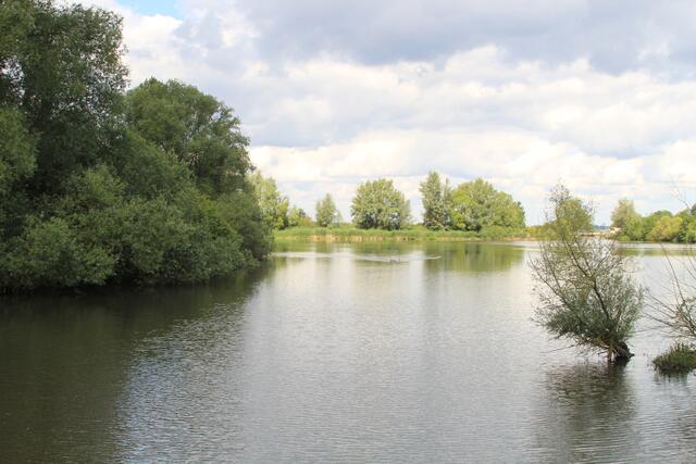 Altmühlsee- Vogelinsel🦢🦆🌞😍 | Foto: Ralf Röser