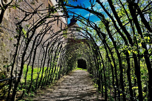 Ein runder Tunnel mit toller Aussicht.  | Foto: Moni Bordt
