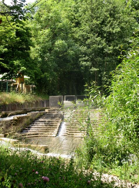Am Leinbach in Frankenbach | Foto: WandernGabyErich@gmx.de