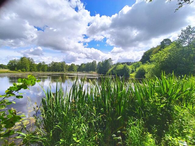 So herrlich hier - der Robener See, total idyllisch. Dazu der Wolkenhimmel - uns gefällt's hier total gut. Und es ist ganz offensichtlich ein Paradies für Seevögel.  | Foto: sigischlottke