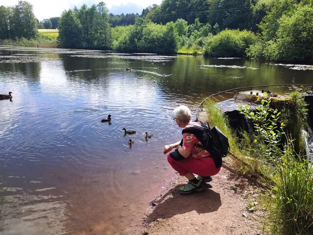 Die Kleinen sind durchaus interessiert, bleiben aber auf Abstand.  | Foto: sigischlottke