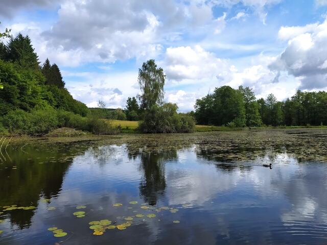 Der Robener See taucht auf. Hinten ist das Wasser mit vielen Seerosen bedeckt. Das muss ein Traum sein, wenn sie blühen.  | Foto: sigischlottke