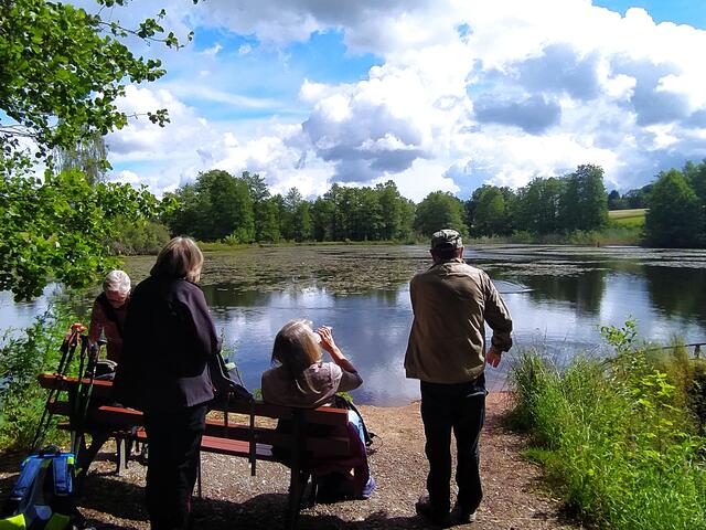 Am Robener See gibt's das erste Päuschen. Viele Enten, ein Blässhuhn-Paar mit seinen Küken, ein Nilgans-Paar und sogar einen Fischreiher können wir beobachten.  | Foto: sigischlottke