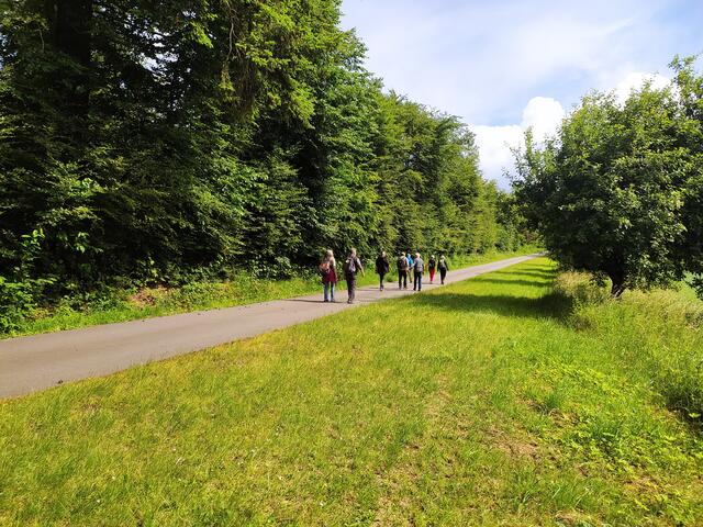 Schon sieht man unsere Schatten - also, die Sonne hat sich durch die Wolken gekämpft.  | Foto: sigischlottke