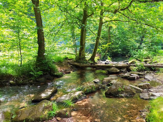 Und noch ein idyllisches Fleckchen - ein herrlicher kleiner Fluss....  | Foto: sigischlottke