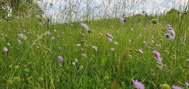 Foto: privat Sibylle Tröber
