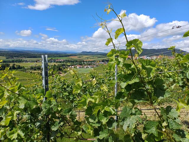 Foto: privat Monika Brunnhuber und Sibylle Tröber