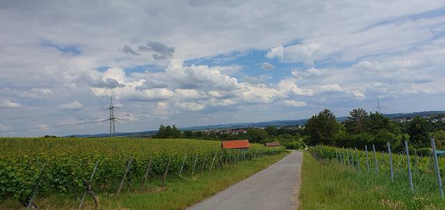 Foto: privat Sibylle Tröber