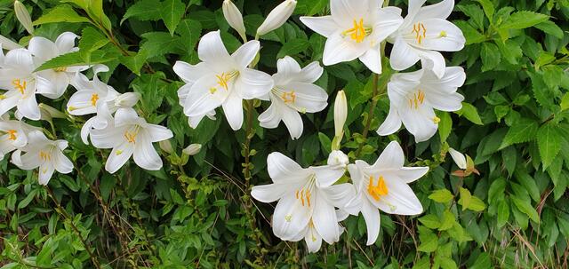 Foto: privat Sibylle Tröber