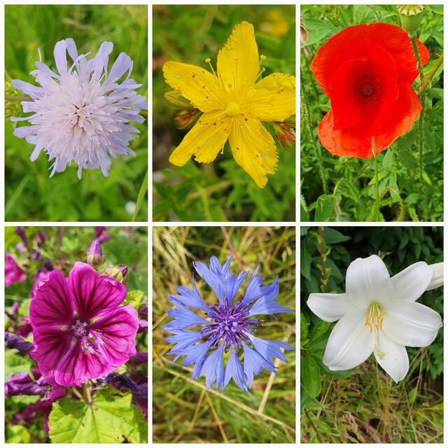 Foto: privat Sibylle Tröber