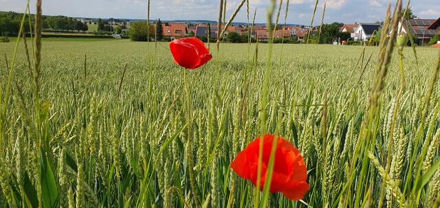 Foto: privat Sibylle Tröber