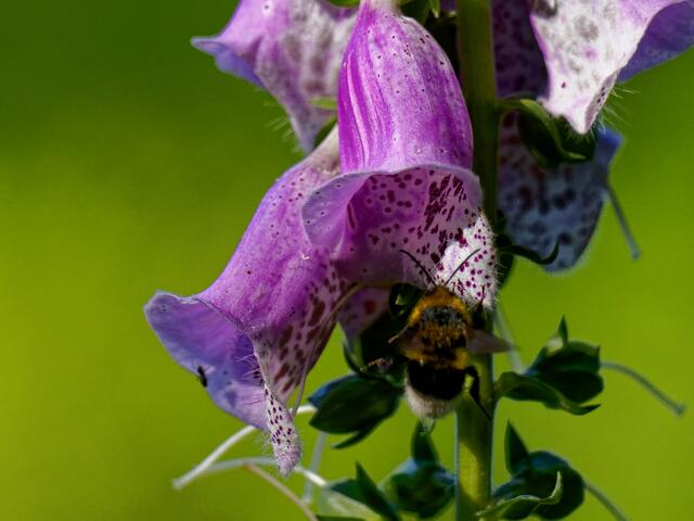 Foto: Eigenes Bild TB