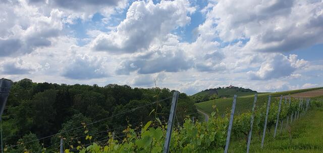 Foto: privat Sibylle Tröber